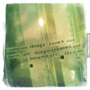 Things Unknown Quote Picture