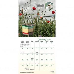 Bee Happy 2015 Wall Calendar
