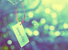 Tranquility Quotes & Sayings