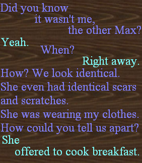 Maximum Ride - Fax by bookworm16016