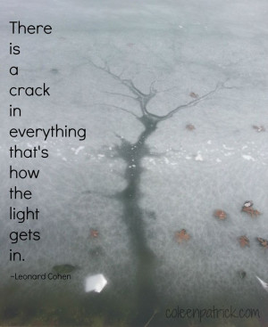... crack in everything that's how the light gets in. Leonard Cohen quote