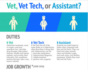 bitten-by-the-woolf:Could not have shown up in my inbox at a better ...