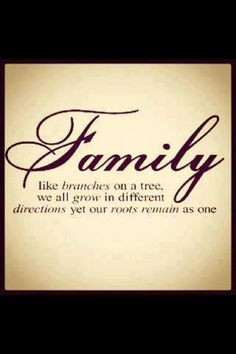 ... more families quotes family quotes life family trees inspiration roots
