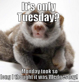 Its Only Tuesday Funny It's only tuesday?