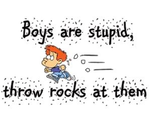 Quotes About Boys Being Stupid...