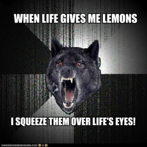 advice animals memes - Animal Memes: Insanity Wolf: Make Life Rue the ...