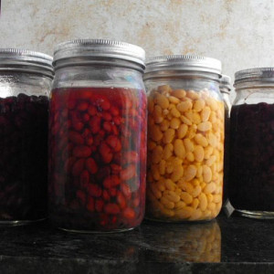 Pressure Canning Beans, Pressure Cooker Canning Recipe, Homes Canning ...