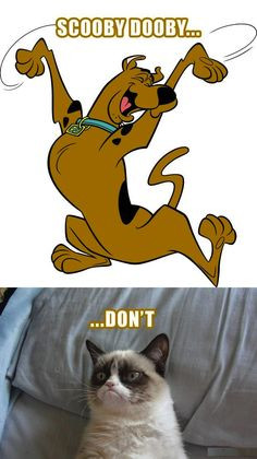 Grumpy Cat stops Scooby Doo ...For the funniest pictures and quotes ...
