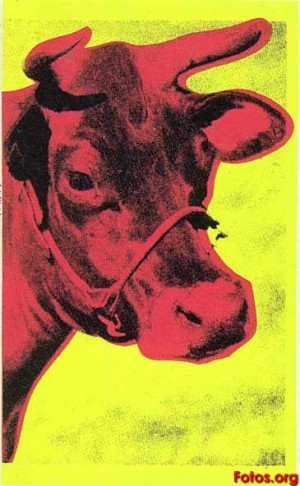 andy, andy warhol, cow, funky, pink, pop art, warhol, yellow