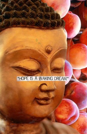 Hope is a waking Dream