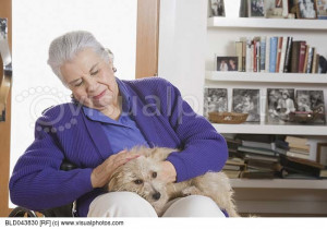 Elderly Hispanic Man Wheelchair Holding Dog Bld Stock