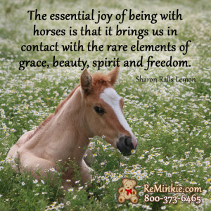 Horse Quotes for Horse Lovers