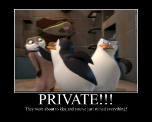 Baby Penguins of Madagascar Private