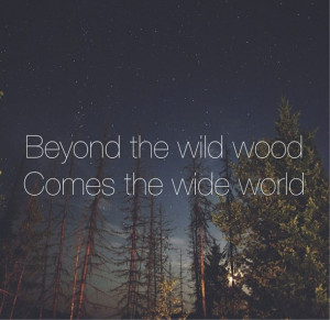 ... , quotes, relationships, sky, stars, tree, typography, wild, wood