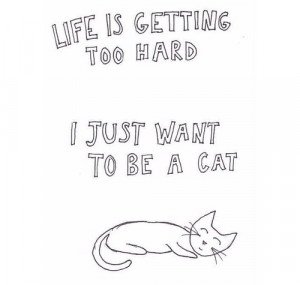 kitty cat love drawing art cute cat quotes tumblr cute cat quotes ...
