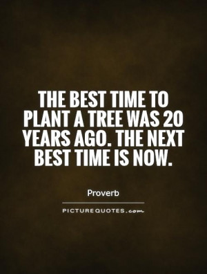 ... tree was 20 years ago. The next best time is now Picture Quote #1