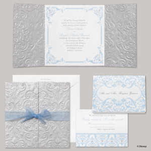 Disney Fairytale Wedding: Cinderella