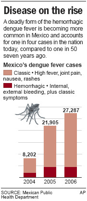 Deadly dengue fever surging in Mexico
