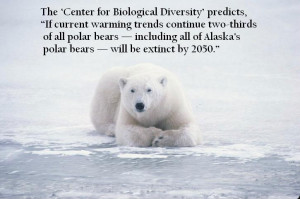 Man Swarm – Solutions to solve the human dilemma of overpopulation