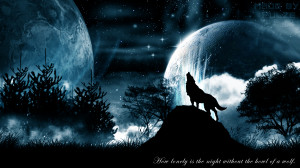 Howling wolf space fog black mist quote blue 1920x1200