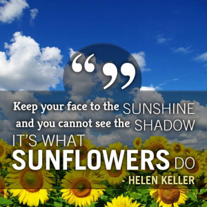 Quote Sunflowers Know Best