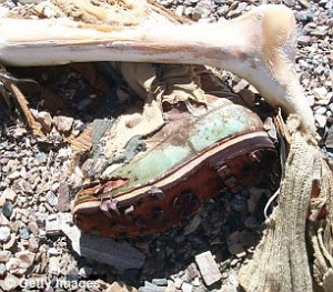 Discovery: In 1924 George Mallory disappeared aong With Fellow Climber ...