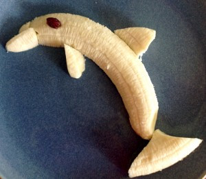 Related Pictures facts about dolphins 3d dolphin wallpaper 2