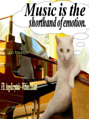 Music is the shorthand of emotion. Leo Tolstoy