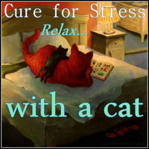 feline-cure-stress-cats-relax-quote
