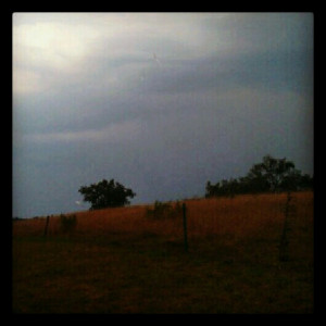 Spending a lazy Fireworks Day with Ryan.