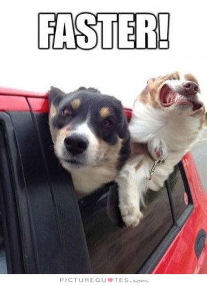 Speed Quotes Faster Quotes