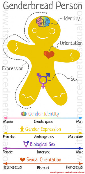 Genderbread Person: Gender Identity Explanation Graphic