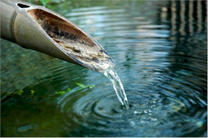 Wallpaper WednesdayBamboo Water Pipe