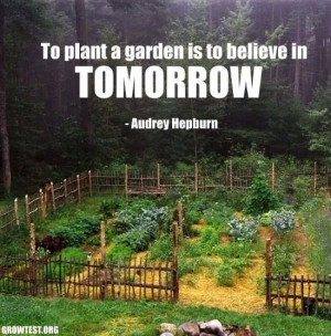Cool garden idea.....and quote