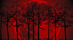 Blood Moon Wallpaper