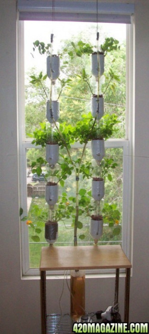 Re: Ideas for outdoor hydroponic grows