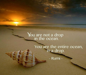 you enjoyed these Rumi Quotes. Please share these with your family ...