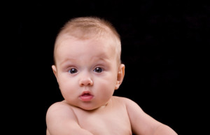 ... reptiles amphibians etc neil armstrong famous quote a baby a baby