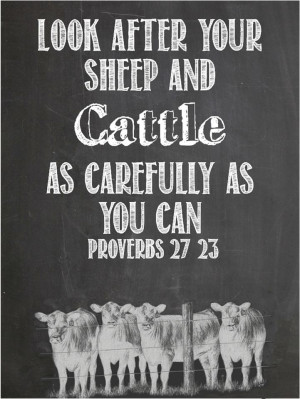 Inspirational Cattle and Sheep quote.