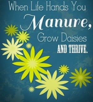 When life hands you manure, grow daisies and thrive