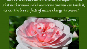Khalil Gibran Quotes HD Wallpaper 4