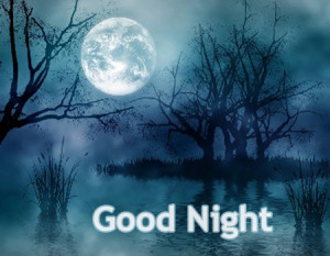 best good night quotes in hindi ,