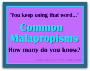 does malapropism mean