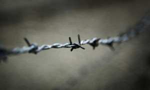 prison-barbed-wire-001.jpg