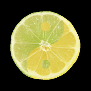 Posted by Cathi Falconwing about three years ago