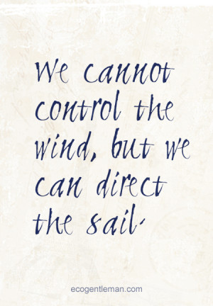 We cannot control the wind but we can direct the sail - graphic quotes ...
