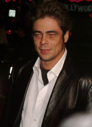 Benicio-benicio-del-toro-428363_1391_1920.jpg