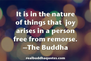 ... of things that joy arises in a person free from remorse.” The Buddha