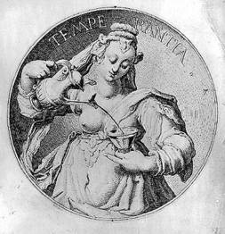 temperance brennan salary