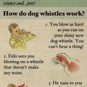 funny quotes, funny pics, funny animals, funny kids, funny ...